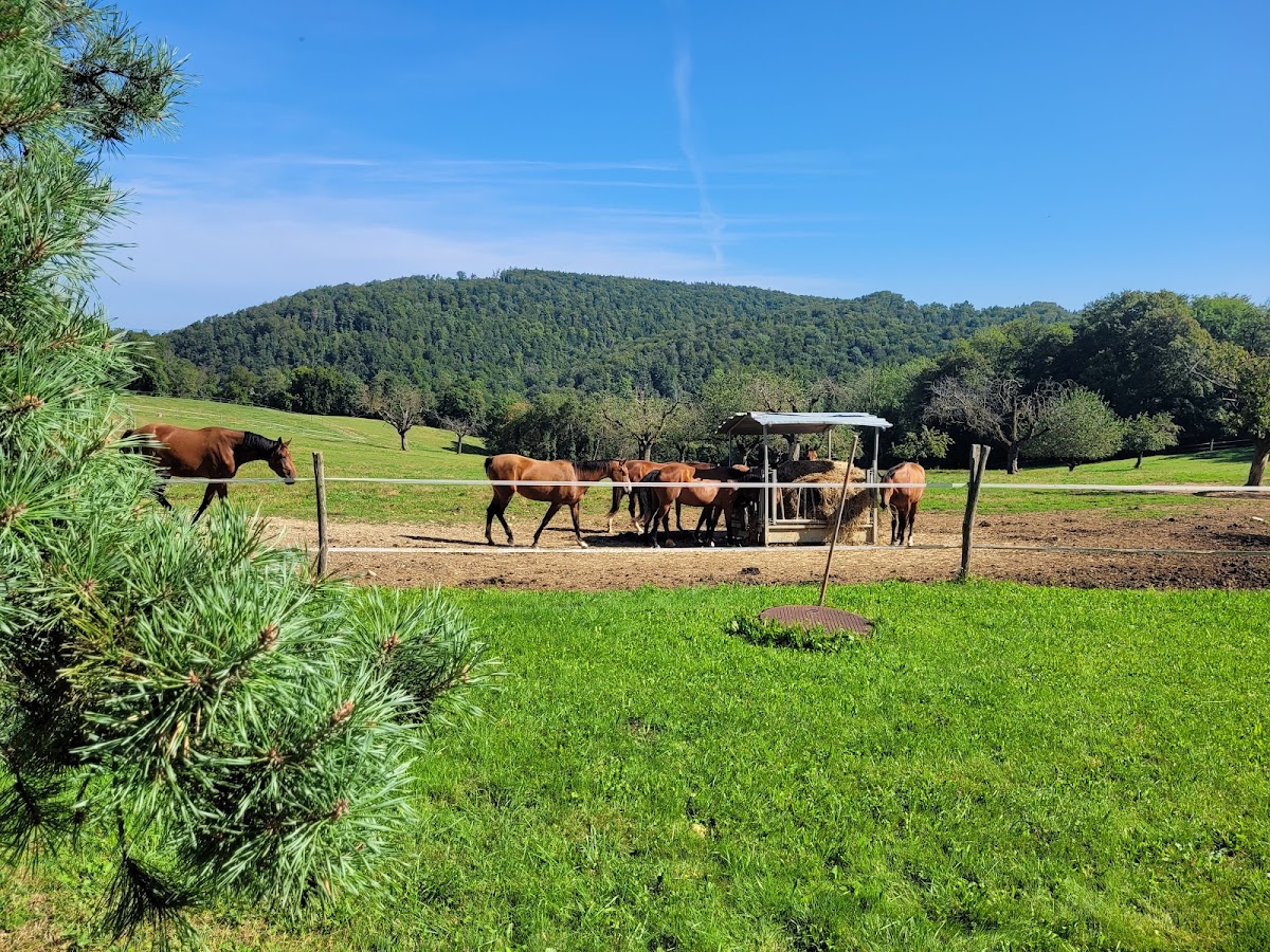 Restaurant Eigenhof-3
